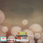 دره ی آسیاب شمیز،خشتی بزرگ،میچکا مبتکران