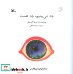 چه می بینم،چه هست