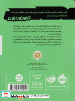 تئودور بون 1 قتل بدون شاهد شمیز،رقعی،پرتقال