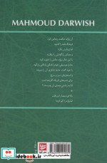 عشق کافه ی کوچکی است گویا