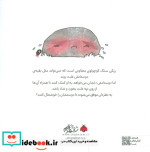 ریکی سنگی که نمی توانست غلت بزند شهرقلم