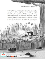 پری سر به زمین هوا 3 پرپره کدو رویاهای تمشکی هوپا