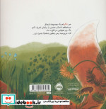 دنیا از اینجا پرتقال
