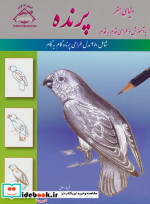 دنیای هنر طراحی قدم به قدم پرنده