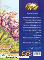 دانستنیهایی درباره مارها