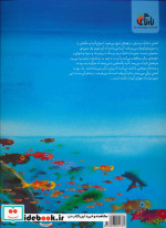 سفر با جزیره