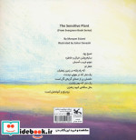 گل زودرنج