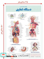 پوستر کالبد شناسی دستگاه لنفاوی 5035 گلاسهباجعبه