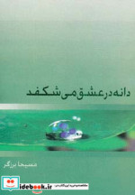 دانه در عشق می شکفد