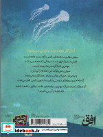 عروس دریایی