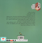 پرندگان از سر تا دم