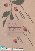 برای تو و ماه نغمه سر دادم