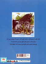 چستر راکون و یک روز کامل در خانه دوست