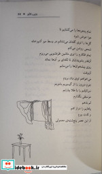 خورشید و گل هایش