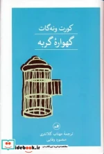 گهواره گربه