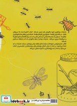 حشره پژوهی 40 فعالیت برای شناخت حشرات جهان