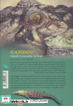 گاندو تمساح ایران