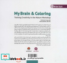 مغز من و رنگ آمیزی 3