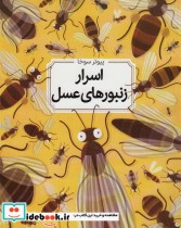 اسرار زنبورهای عسل