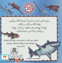 کوسه ها ماهی خطرناک آبهای عمیق نشر جاجرمی