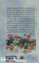 کوچه درختی نشر تیر