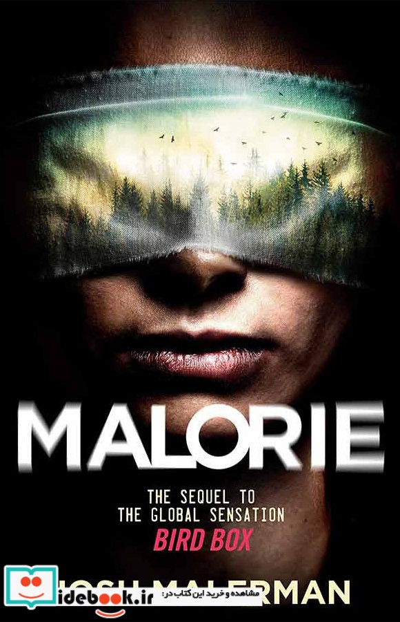 Malorie - Bird Box 2