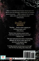 In the Afterlight - The Darkest Minds 3