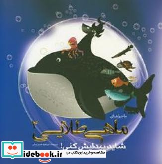 شاید پیدایش کنی