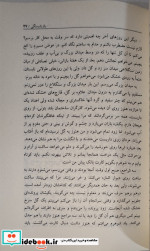 گرفتاری دی ماه