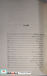 گرفتاری دی ماه