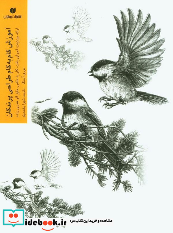 آموزش گام به گام طراحی پرندگان
