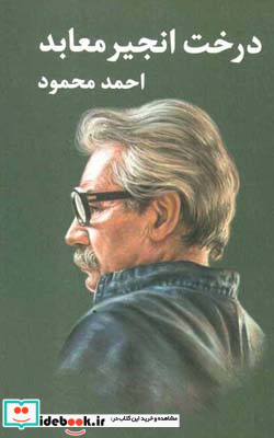 درخت انجیر معابد