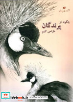 چگونه از پرندگان طراحی کنیم