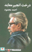 درخت انجیر معابد