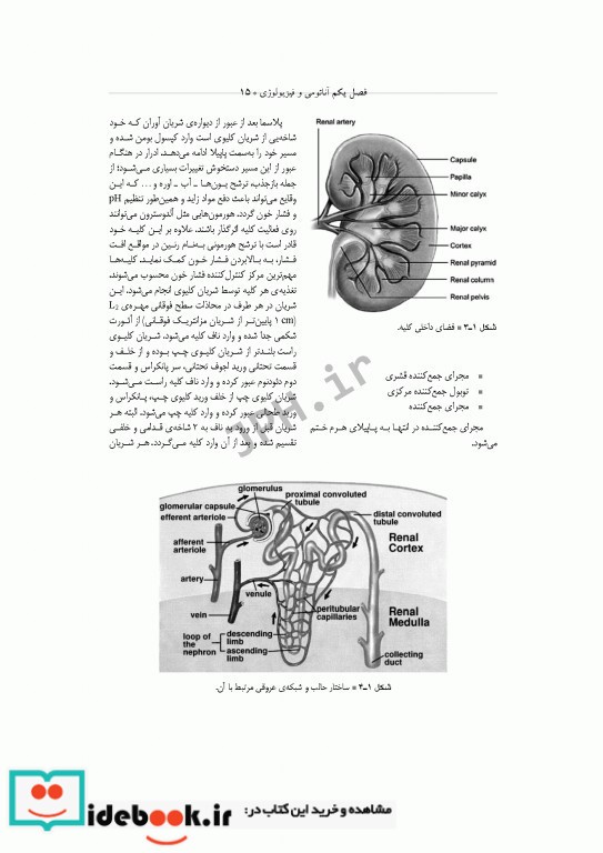 تکنولوژی جراحی اورولوژی ساداتی و گلچینی