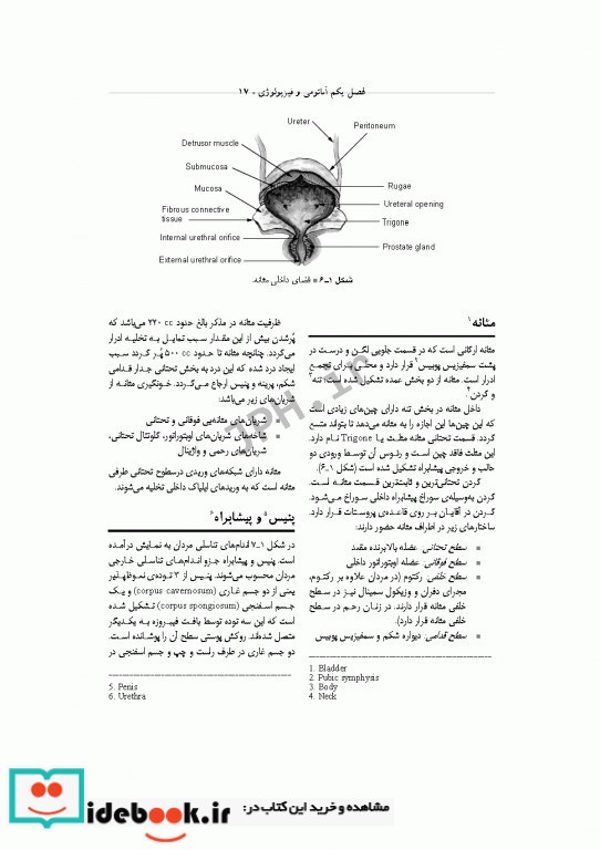 تکنولوژی جراحی اورولوژی ساداتی و گلچینی