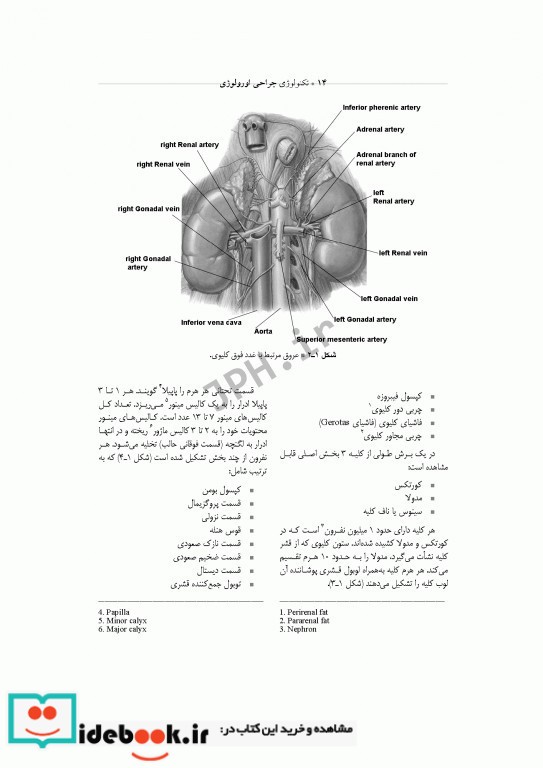 تکنولوژی جراحی اورولوژی ساداتی و گلچینی