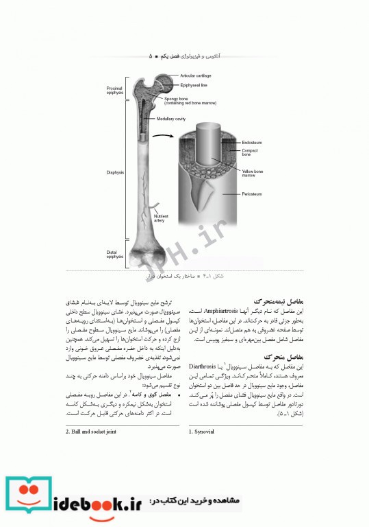 تکنولوژی جراحی ارتوپدی ساداتی و گلچینی