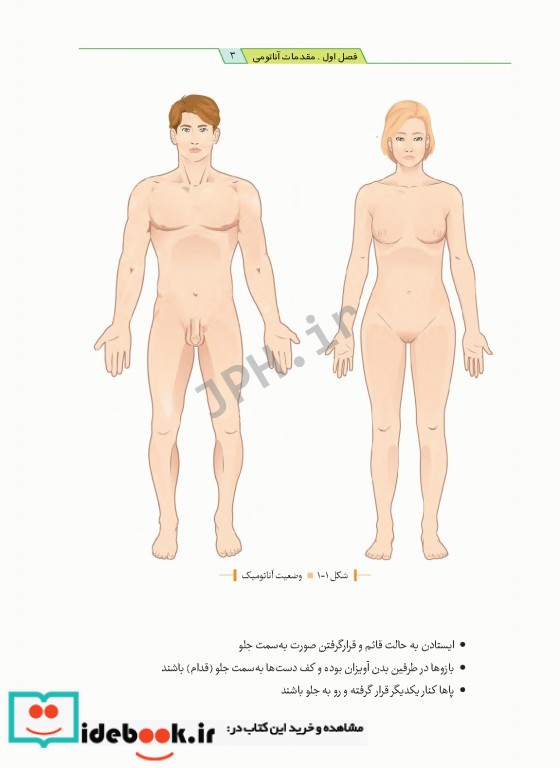 آناتومی برای پرستاران با رویکرد بالینی دکتر گلچینی