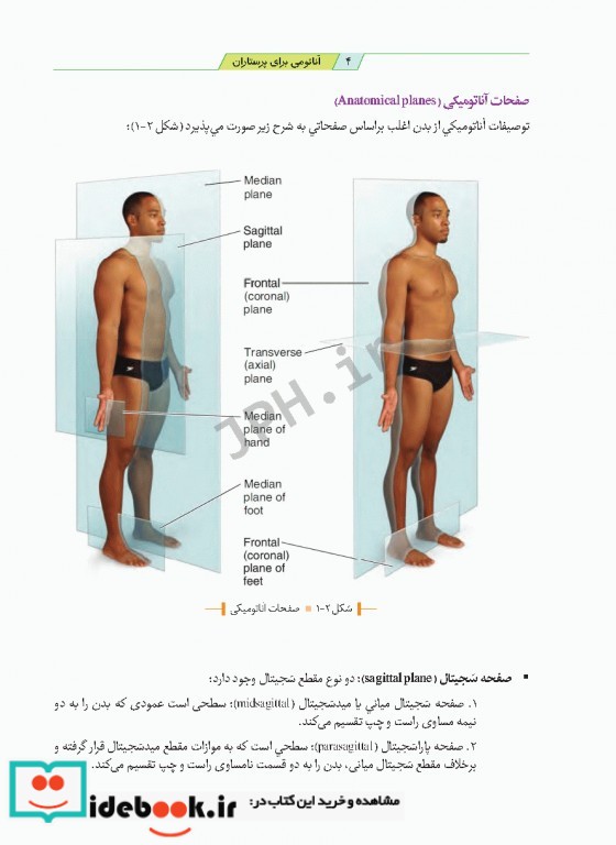 آناتومی برای پرستاران با رویکرد بالینی دکتر گلچینی