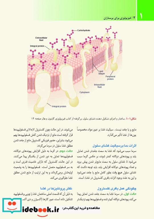 فیزیولوژی برای پرستاران دکتر فرناز نیکبخت