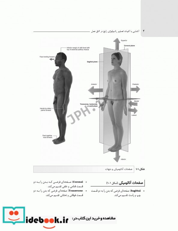 آشنایی با کلیات تصاویر رادیولوژی رایج در اتاق عمل