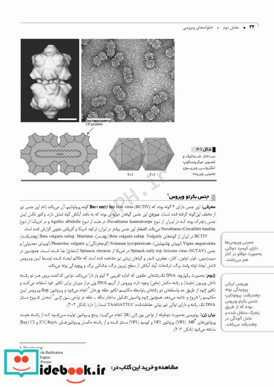 ویروس شناسی گیاهی نوین به زبان ساده