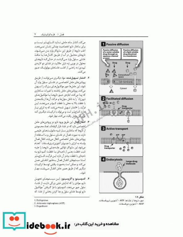 فارماکولوژی مصور لیپینکات ویراست هفتم 2018