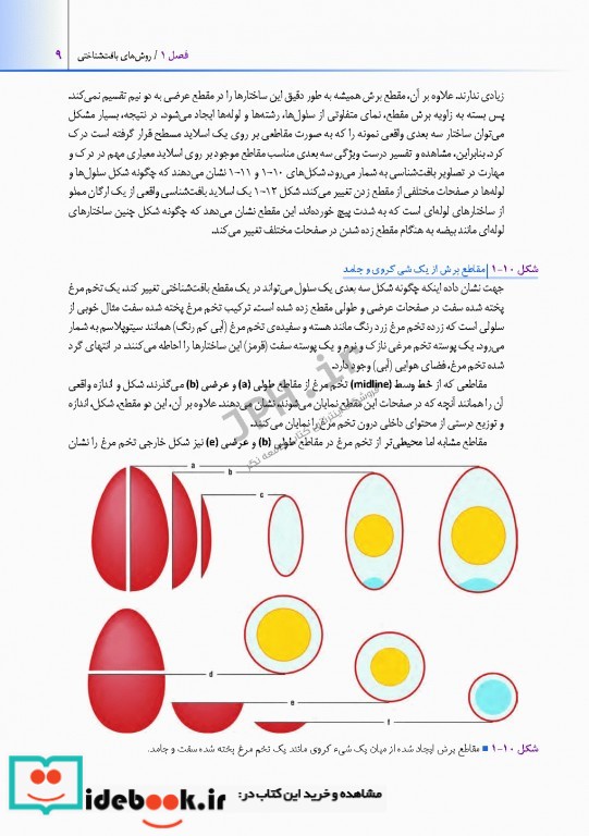 اطلس بافت شناسی دیفیوره 2017 به همراه ارتباطات عملکردی