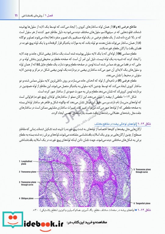 اطلس بافت شناسی دیفیوره 2017 به همراه ارتباطات عملکردی