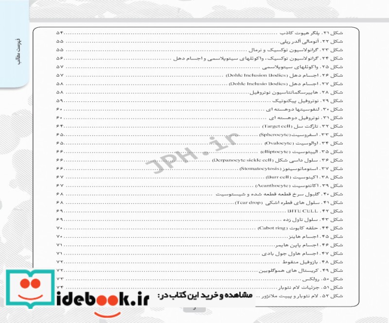 از نمونه گیری تا کنترل کیفی در آزمایشگاه هماتولوژی