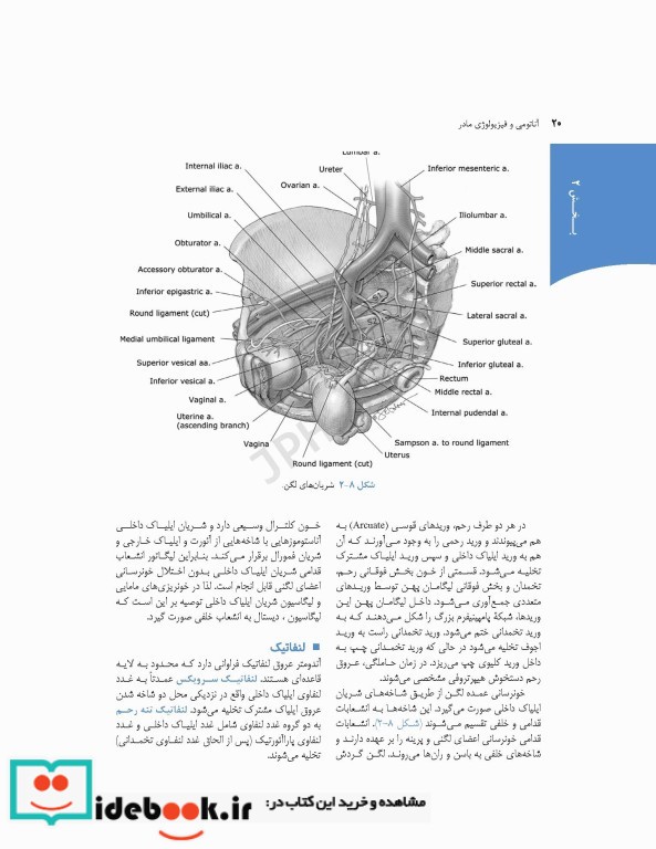 چکیده بارداری و زایمان ویلیامز 2018