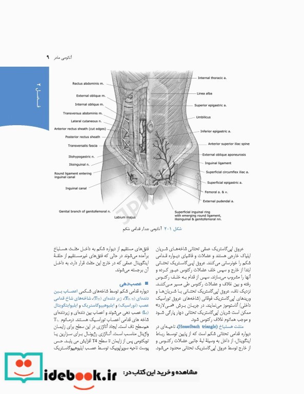 چکیده بارداری و زایمان ویلیامز 2018