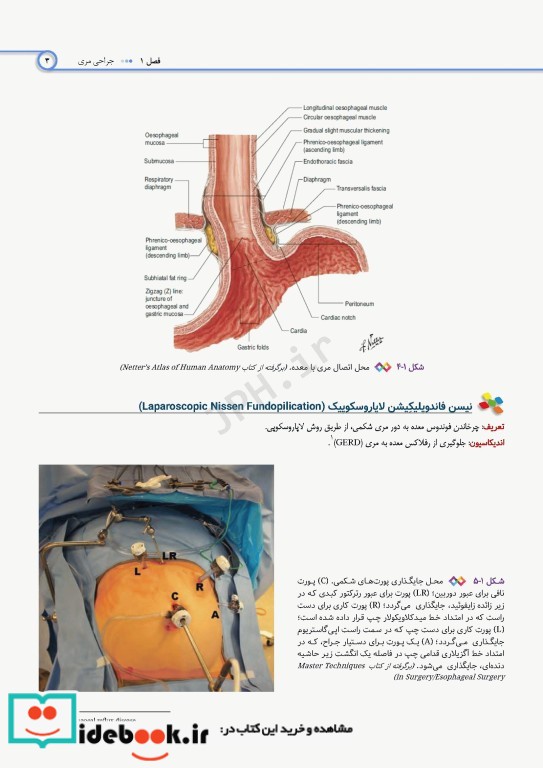 اطلس جراحی برای تکنولوژیست جراحی دکتر گلچینی